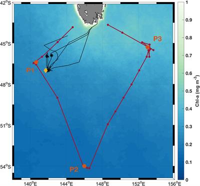 Multi-Year Observations of Fluorescence and Backscatter at the Southern Ocean Time Series (SOTS) Shed Light on Two Distinct Seasonal Bio-Optical Regimes